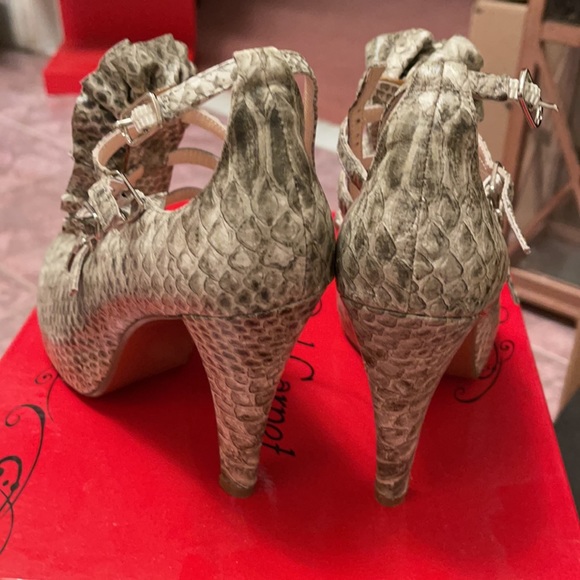 Town Shoes Red Carpet Collection - Picture 4 of 5